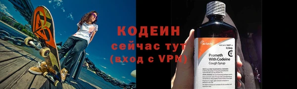 ГАЛЛЮЦИНОГЕННЫЕ ГРИБЫ Вяземский