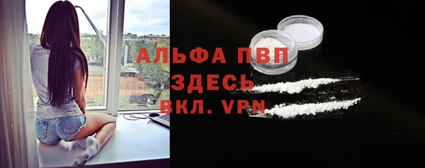 ГАЛЛЮЦИНОГЕННЫЕ ГРИБЫ Вяземский