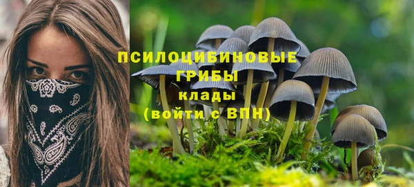 не бодяженный Вязьма