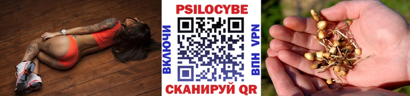 сайты даркнета Telegram  Дегтярск  Галлюциногенные грибы ЛСД 